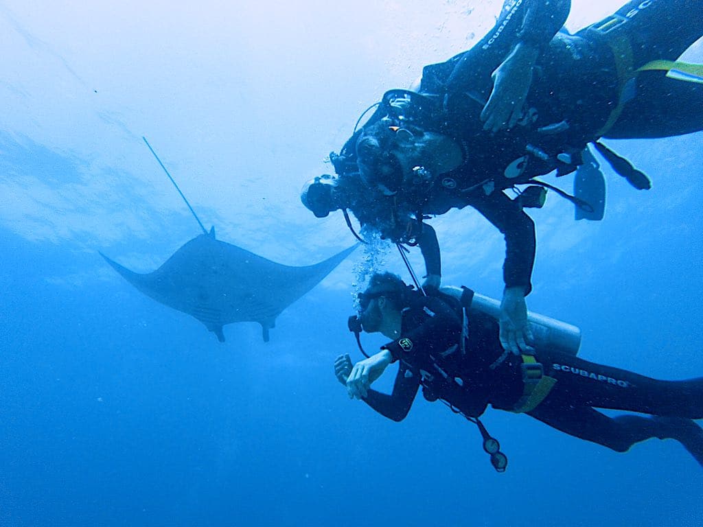 Discovery dive with Manta Ray Nusa Penida Island Bali