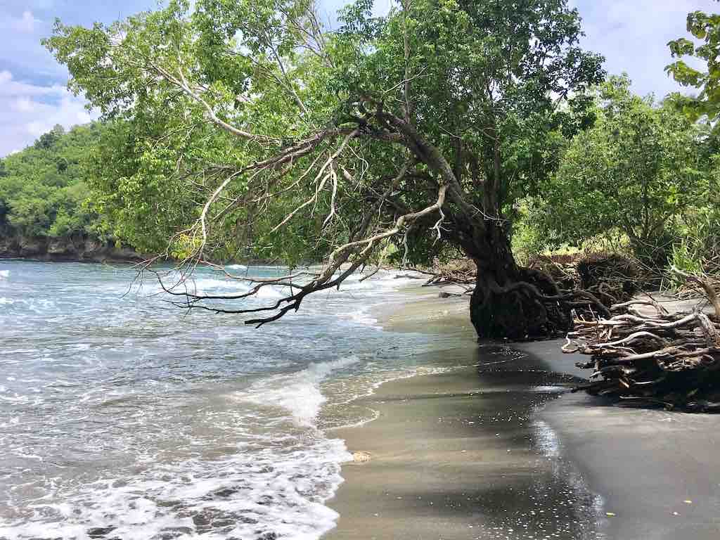 Gamat Bay Gamat Beach Nusa Penida