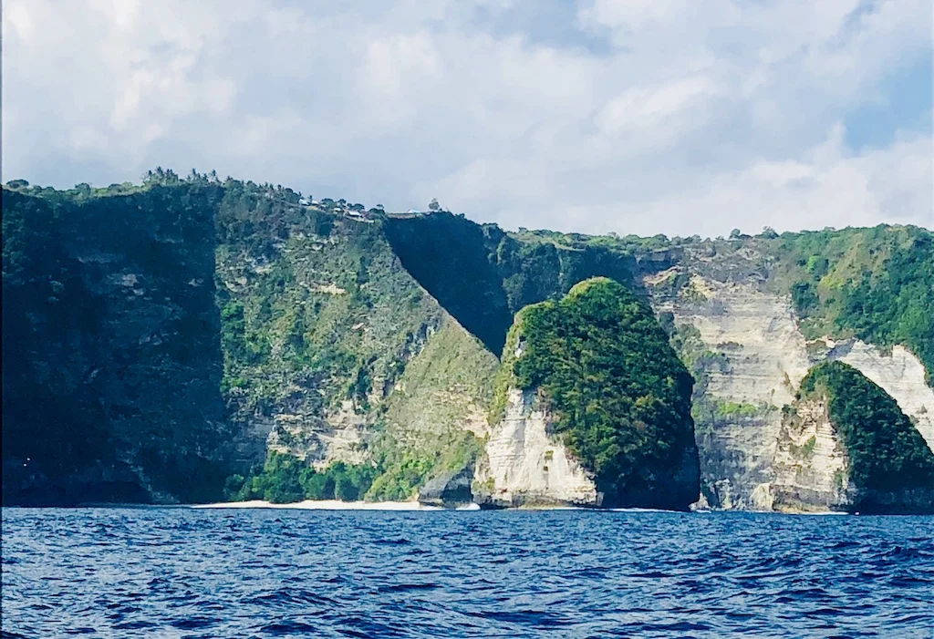 Kelingking Beach T Rex Nusa Penida Bali