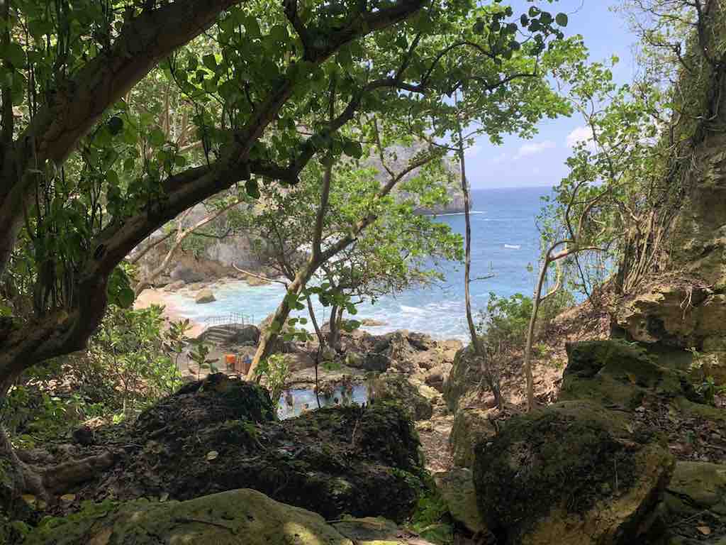 Hutan dan Pantai Temeling Tembeling Nusa Penida Bali