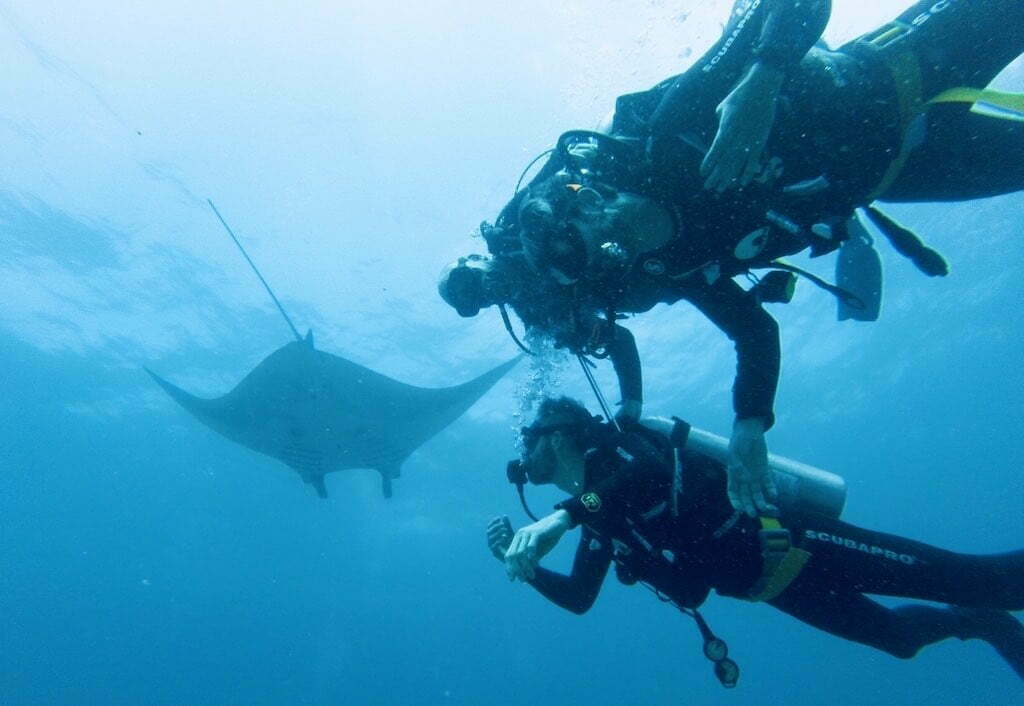 discovery dive Manta Warnakali Nusa Penida