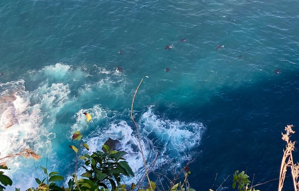 Manta Point Manta Rays Nusa Penida Bali