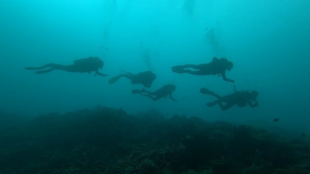 Diving Gili Padang Bay Bali