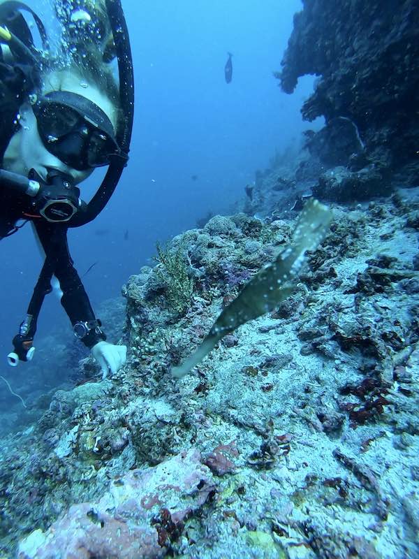 Marion diving Amok Nusa Penida Bali
