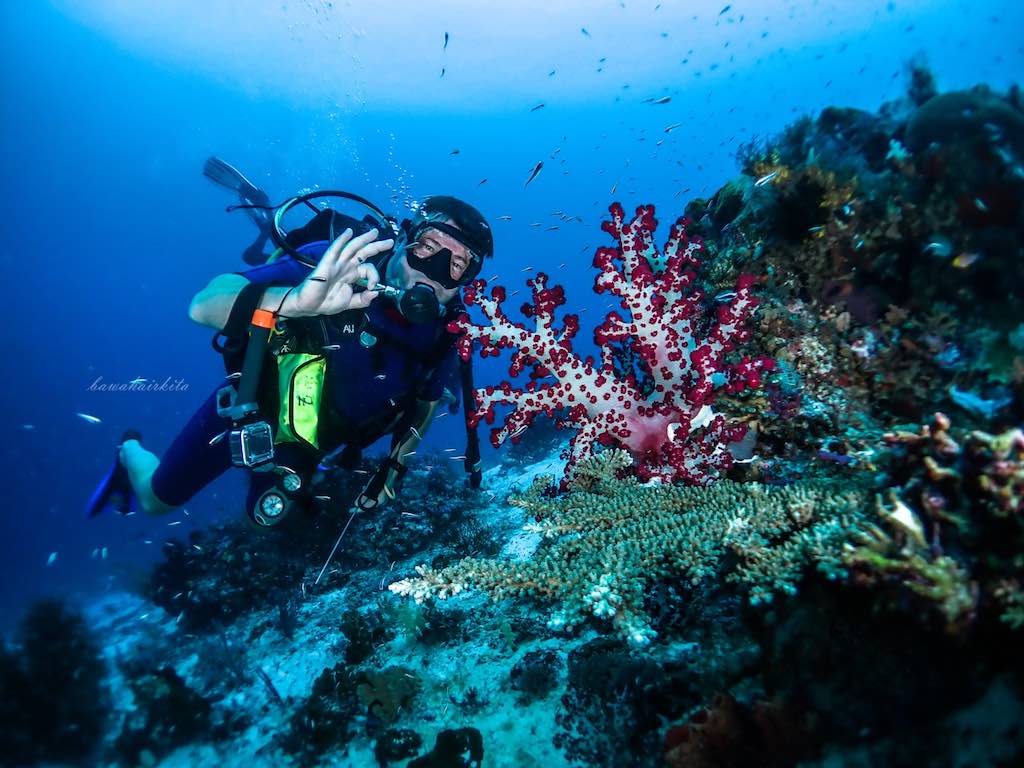 Raja Ampat Misool