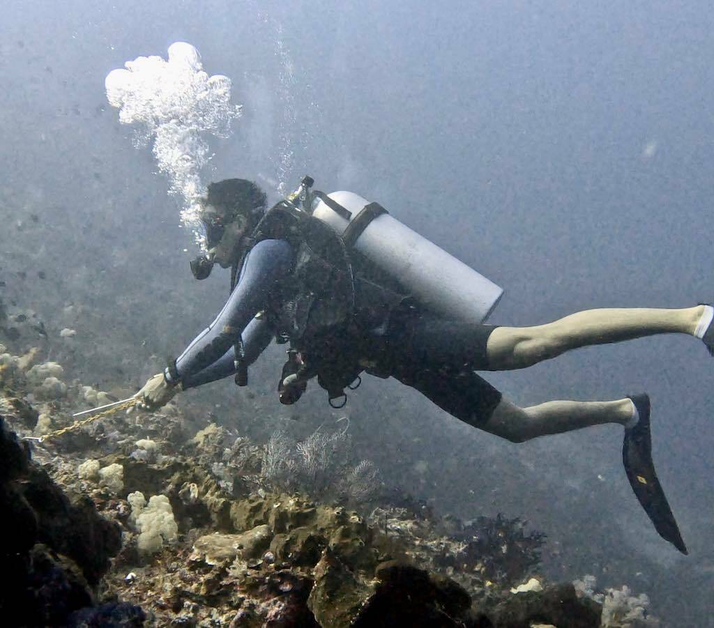 Liveaboard diving in Indonesia current