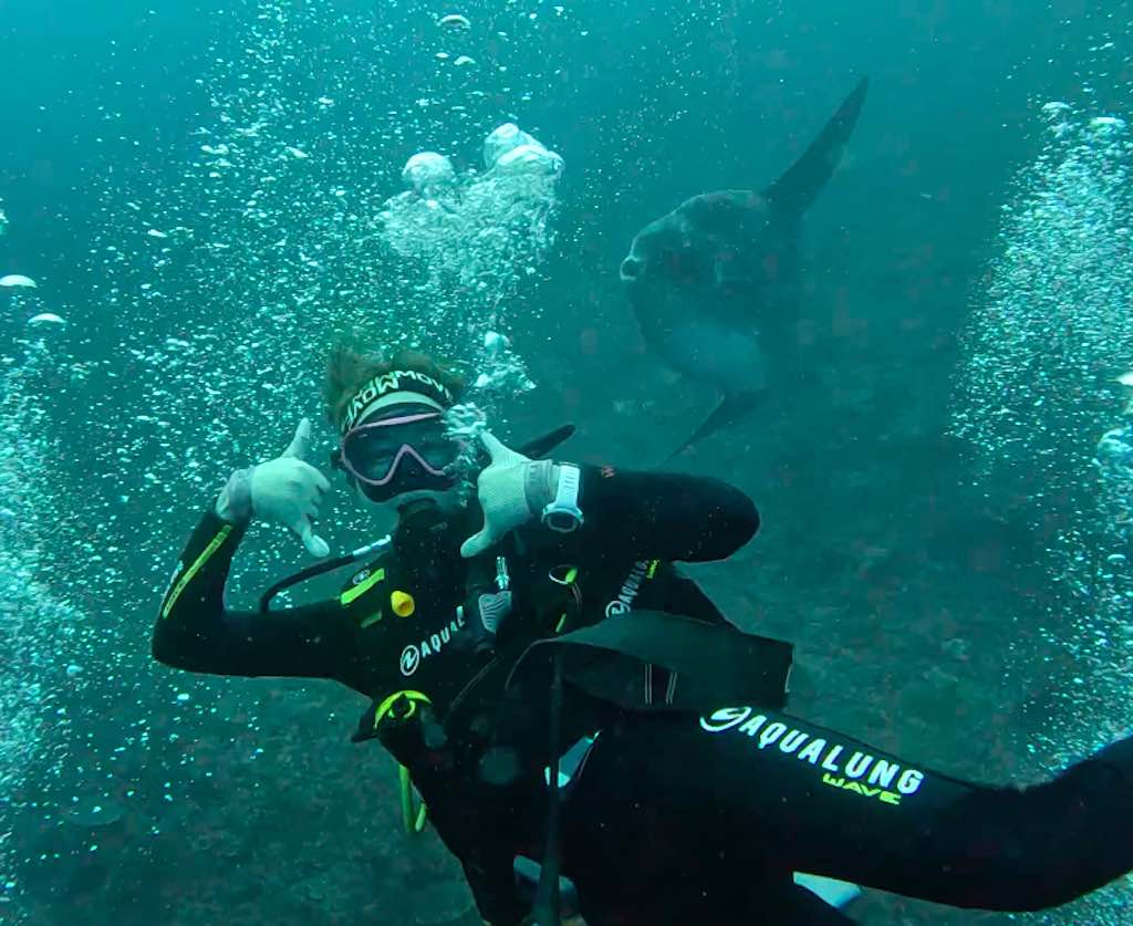 Diving Mola Mola fish sunfish Nusa Penida Bali Indonesia