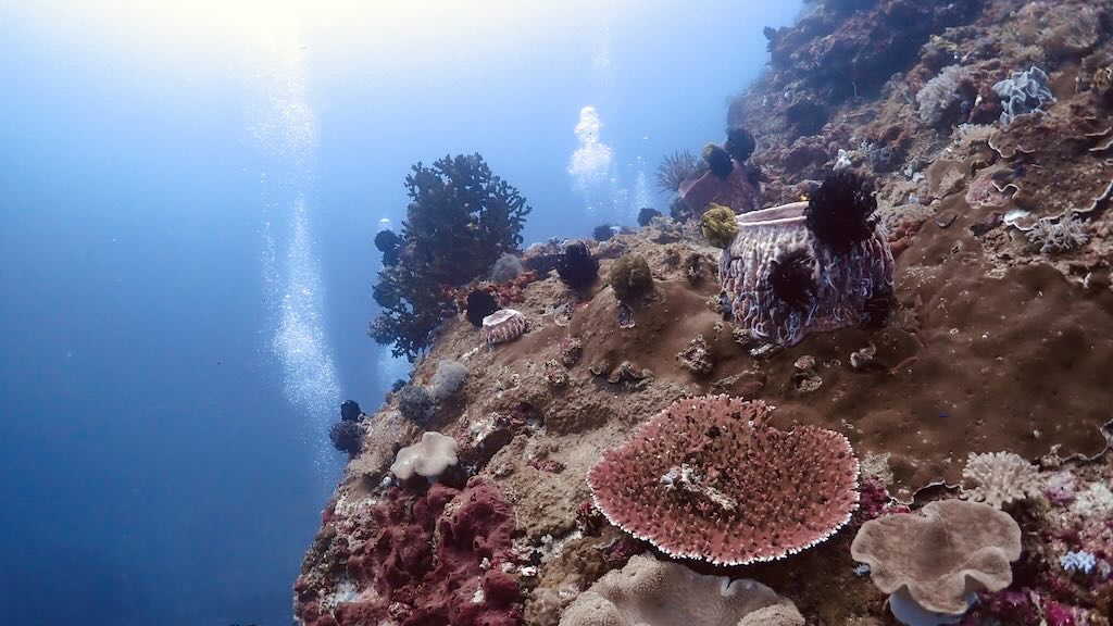 Gili Biaha wall Padang Bai Bali