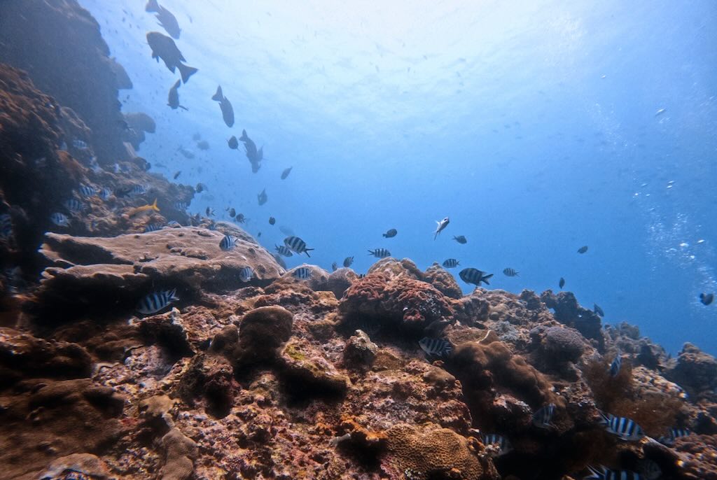 Karang Sari dive site
