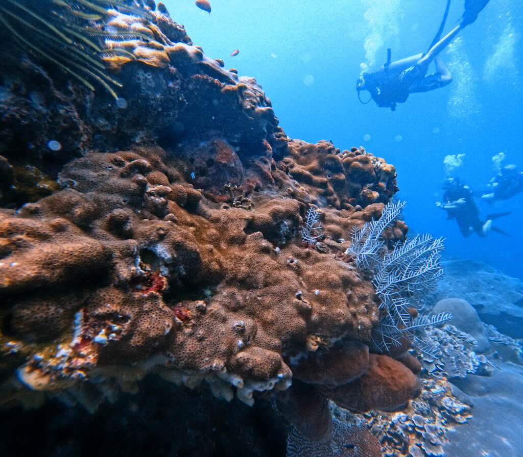 Karang Sari dive site Nusa Penida Bali