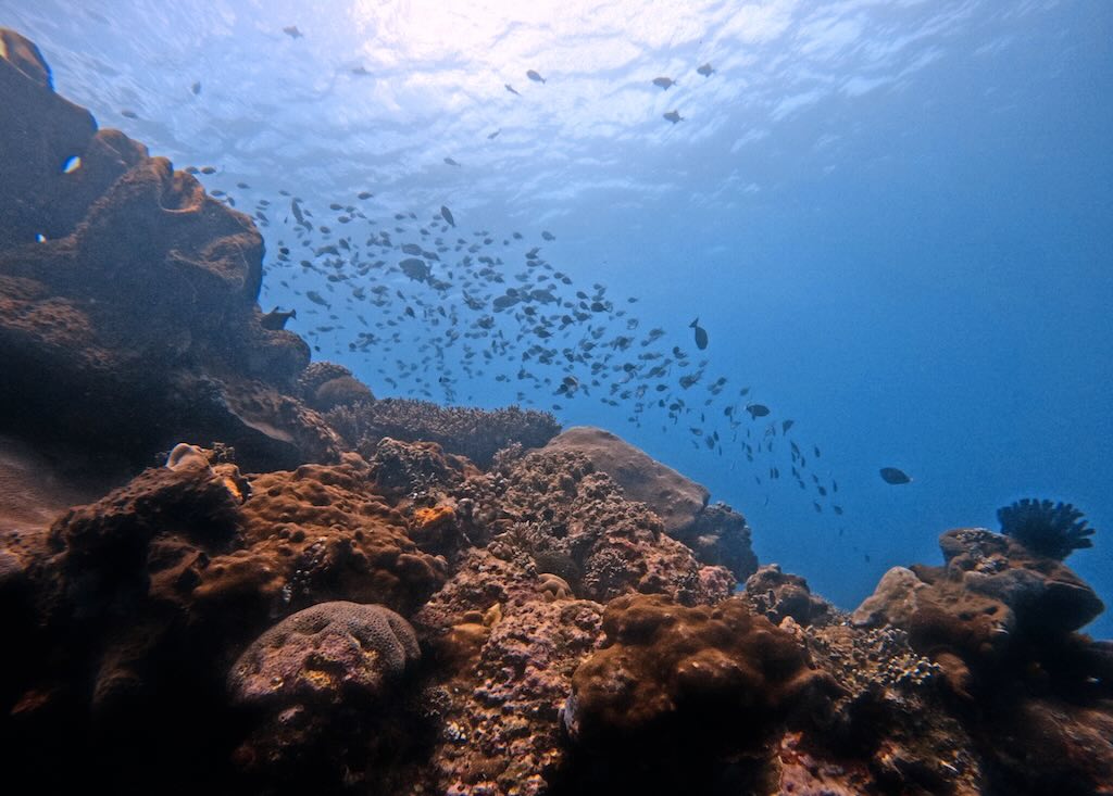 Karang Sari dive site Nusa Penida East Coast