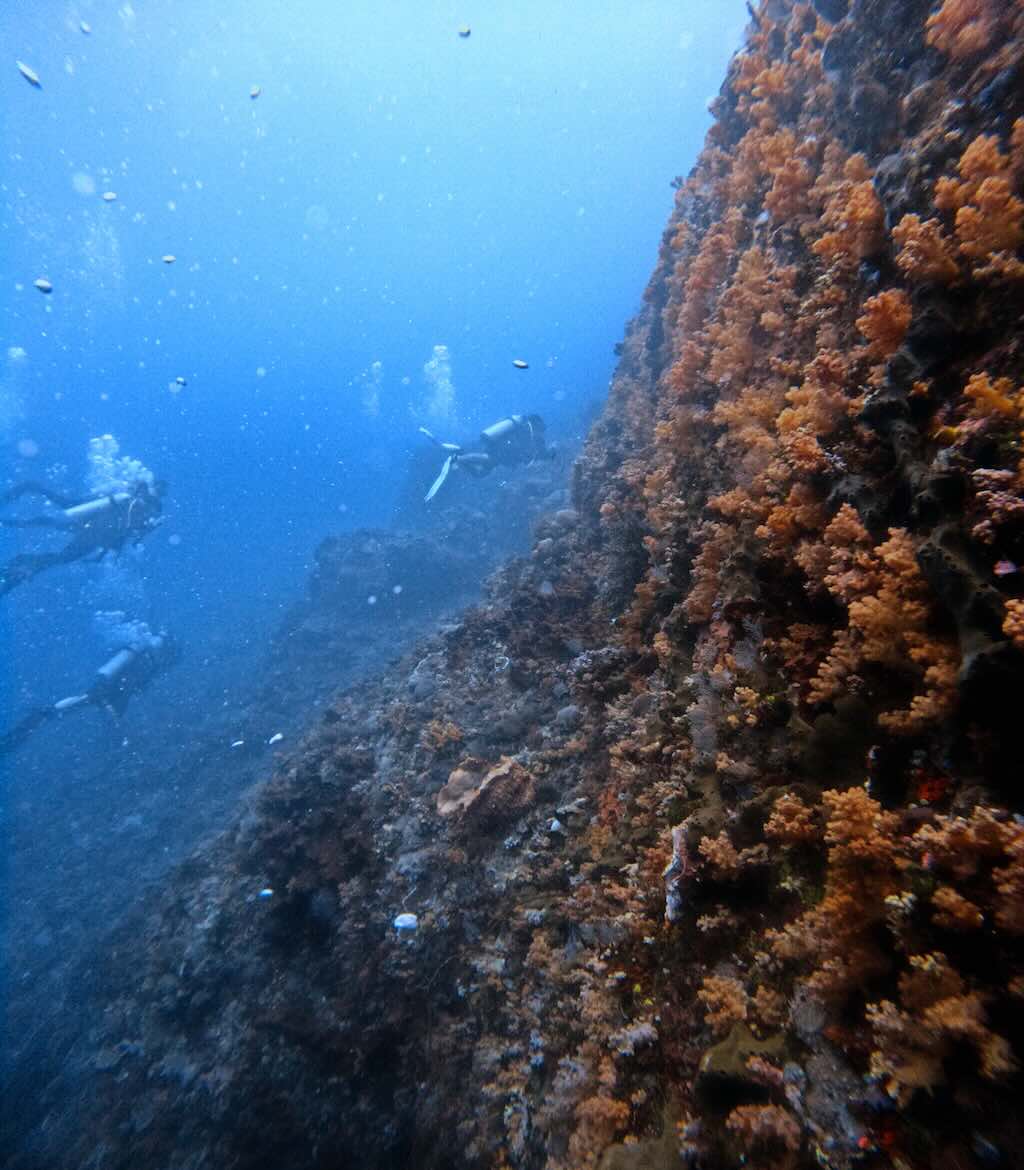 Malibu dive site wall Nusa Penida