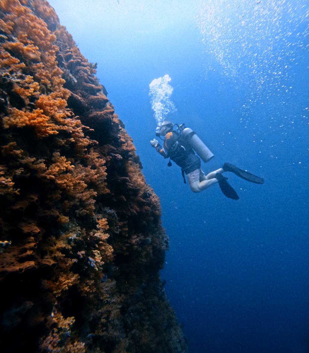 Wall Malibu dive site  Nusa Penida