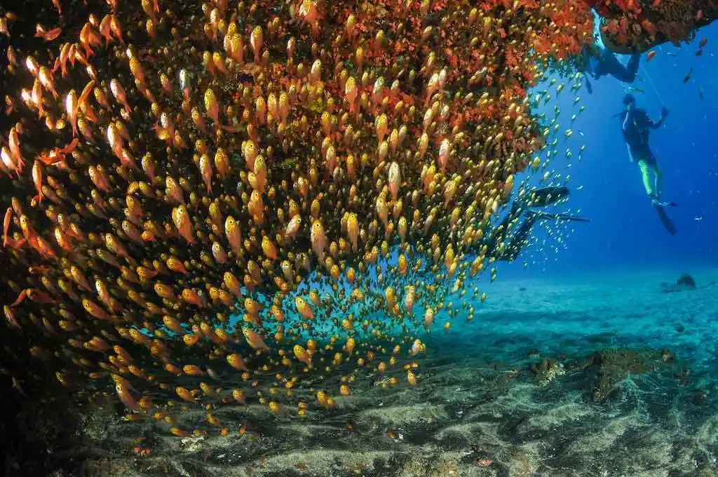 best dive sites in Bali
