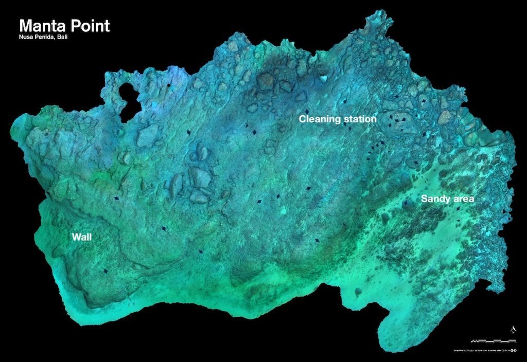 3D-Karte des Tauchplatzes Manta Point auf Nusa Penida mit Wand, Putzerstation und Sandbereich