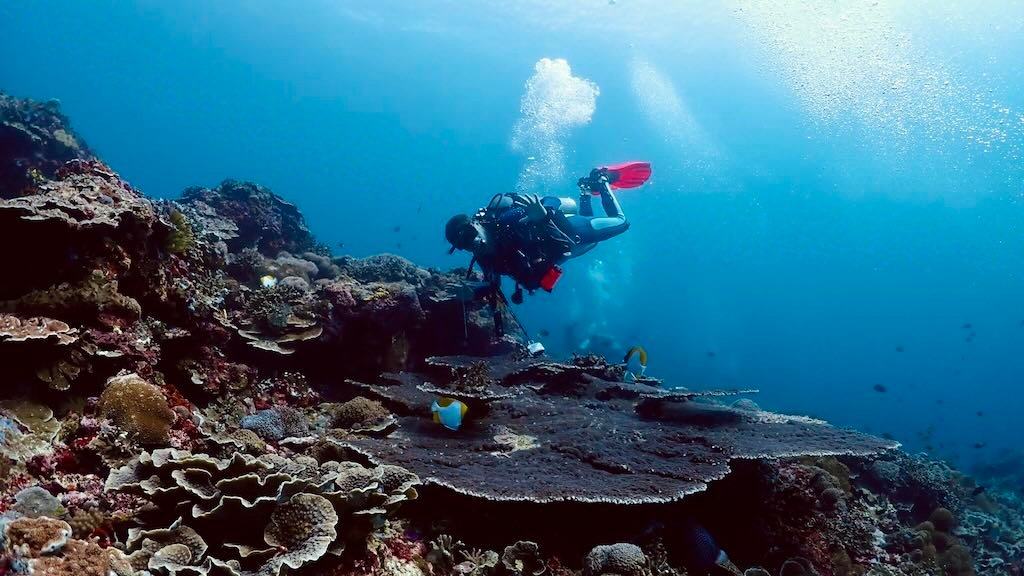 Blaise Jaeger scuba diving at Toyapakeh, Nusa Penida, Indonesia