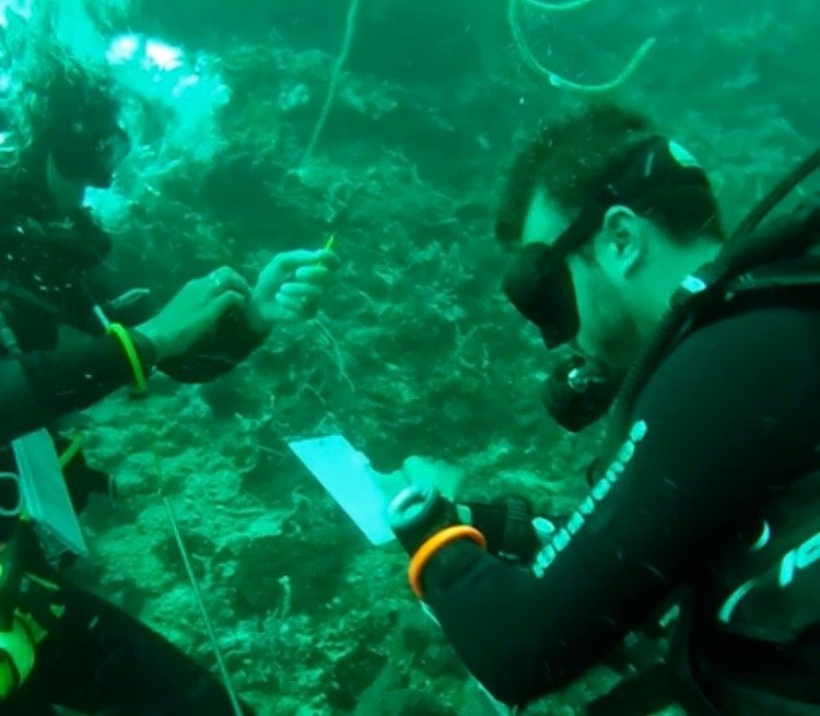 Deep-dive exercise: a diver repeats a timed task at 30 m to show how the brain slows at depth, Nusa Penida