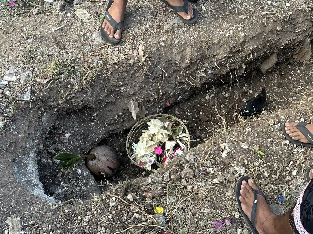 Coconut and ritual offerings placed inside an emptied grave during Ngaben
