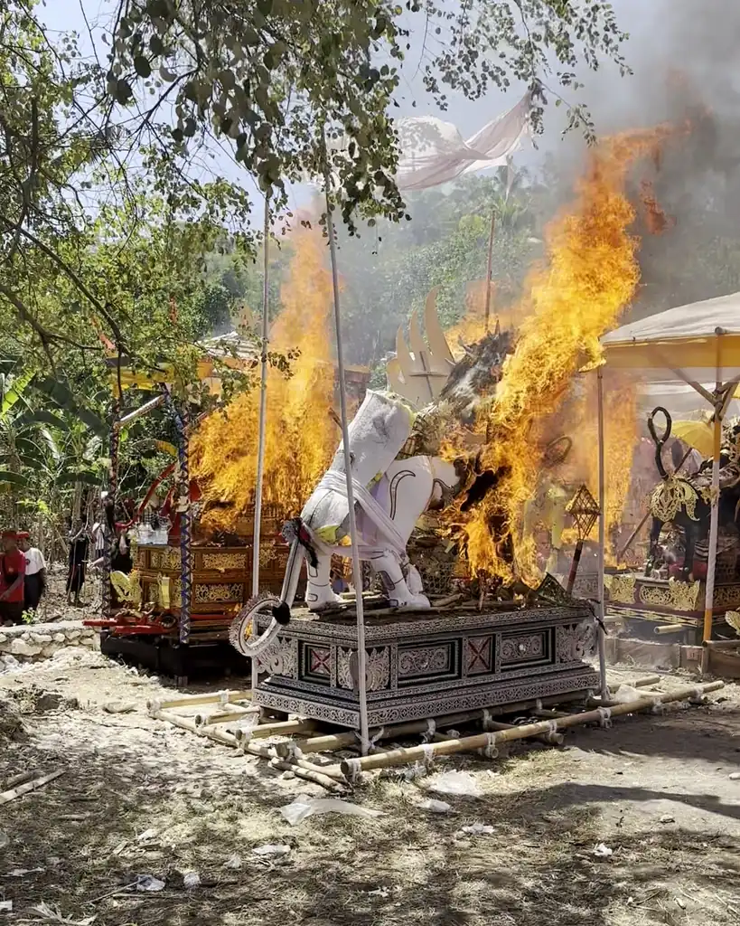 Bull-shaped lembu petulangan engulfed in flames during a Balinese cremation