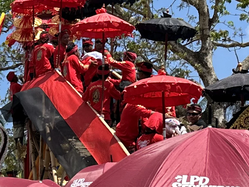 Men lowering wrapped remains from a cremation tower during the Sebunibus Ngaben